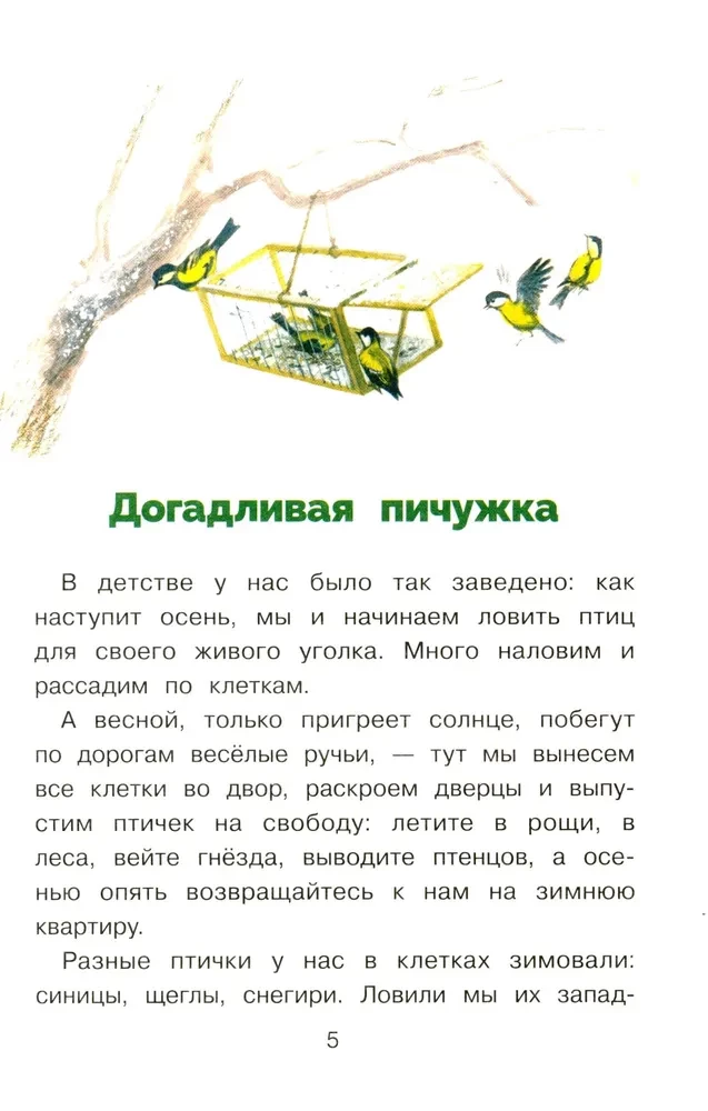 Puschok