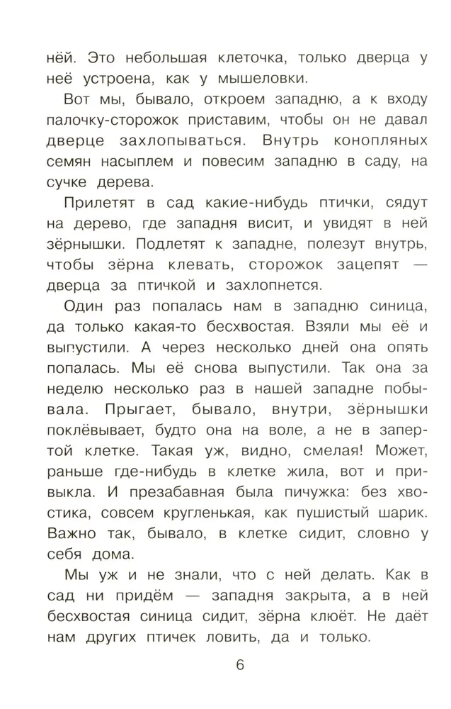 Puschok