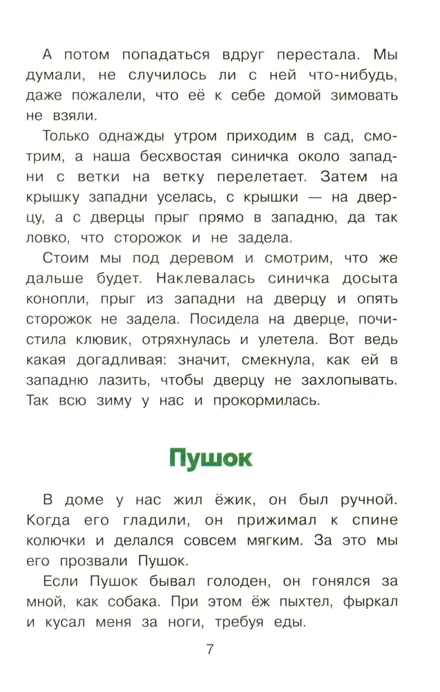 Puschok