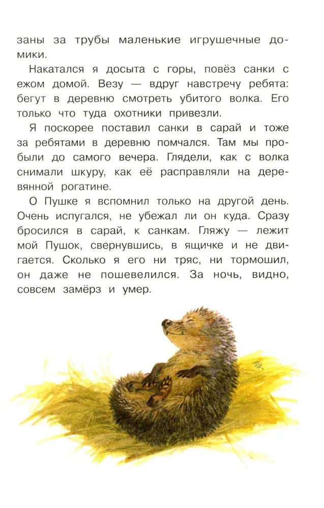 Puschok