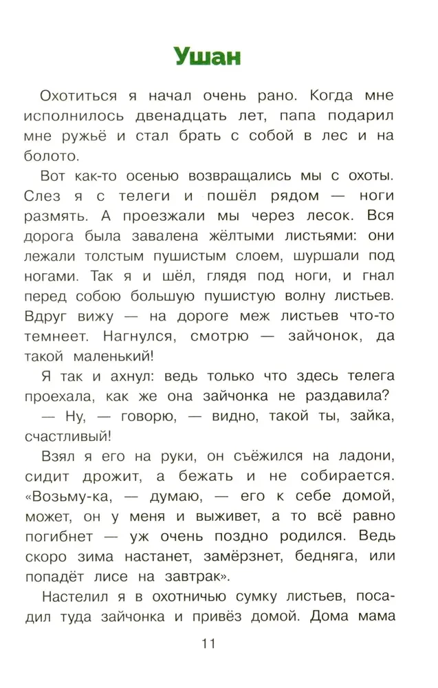Puschok