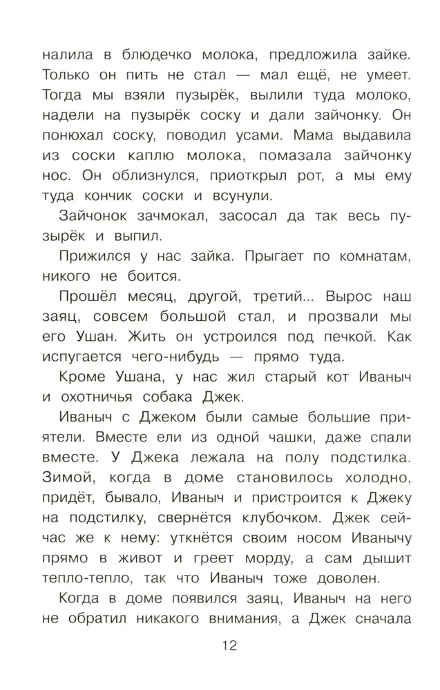 Puschok