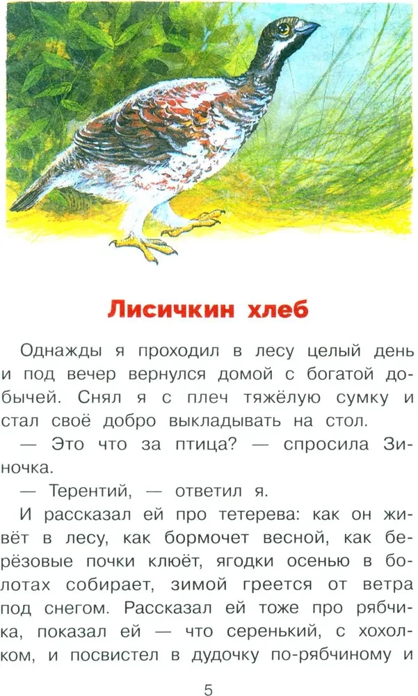 Chłopcy i kaczki