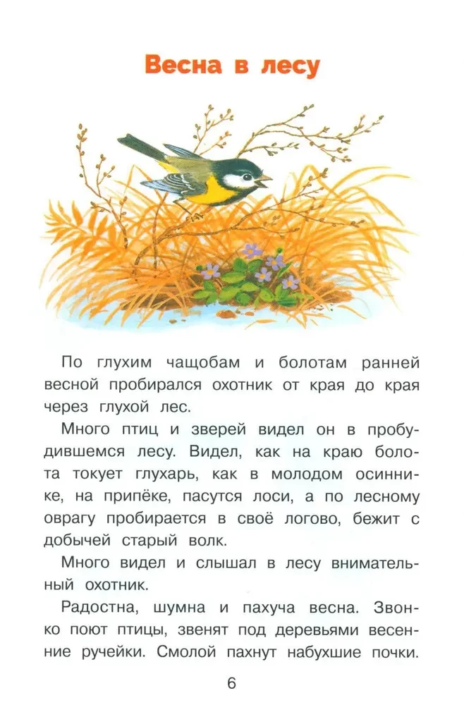 Stories about Nature
