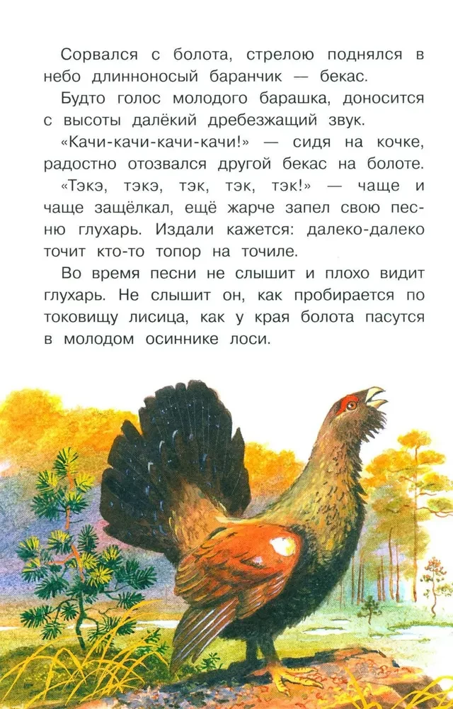 Stories about Nature