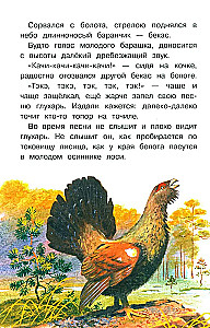 Stories about Nature