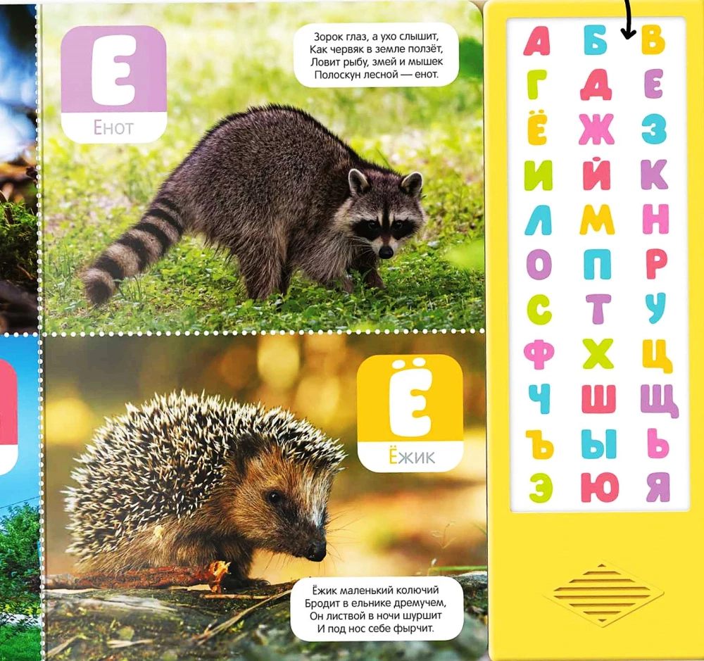 Kalbanti abėcėlė