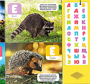 Kalbanti abėcėlė