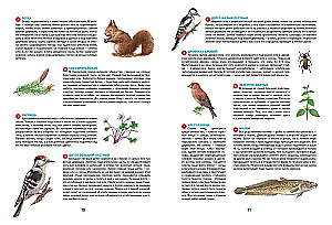 Jahreszeiten. Illustrierte Enzyklopädie