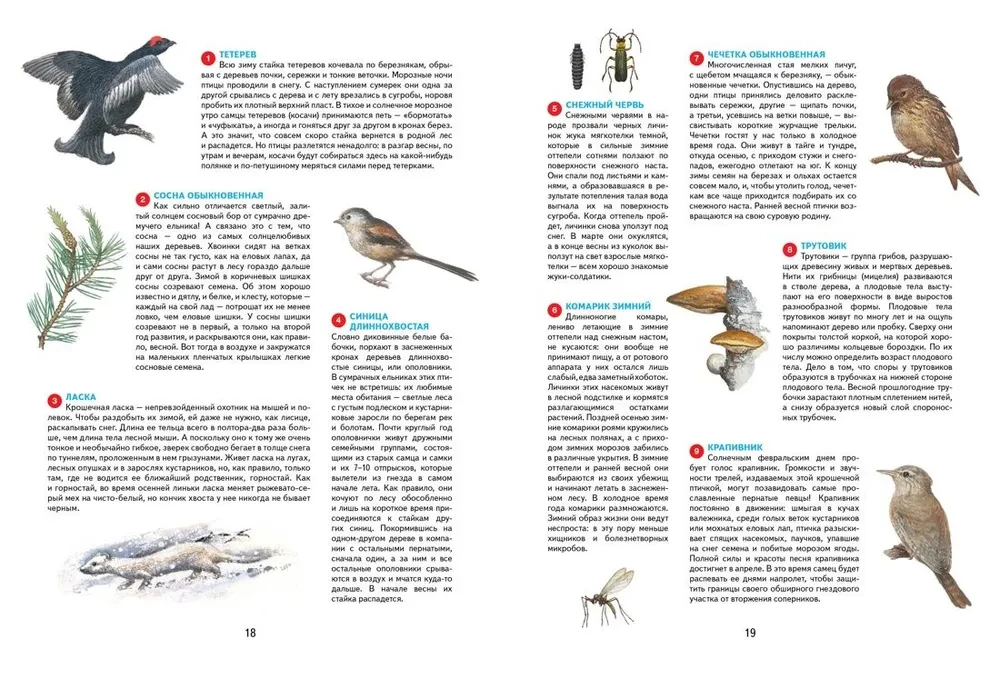 Jahreszeiten. Illustrierte Enzyklopädie
