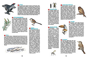 Jahreszeiten. Illustrierte Enzyklopädie