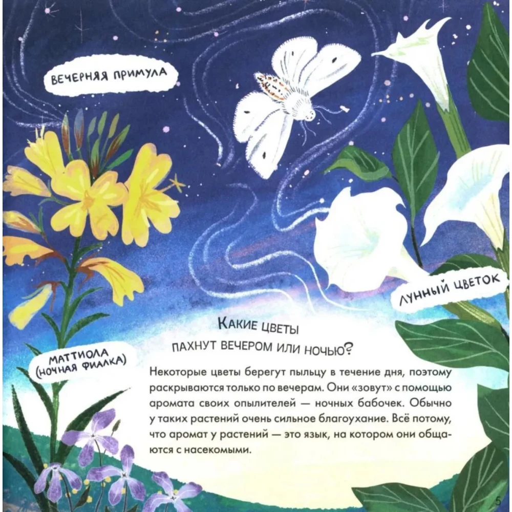 Užuominos pasakoje. Kur mano žvaigždutė?