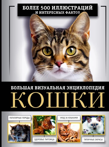 Kotki. Duża wizualna encyklopedia