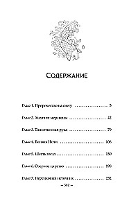 Veidrodiniai miestai-dvyniai. Knyga 1