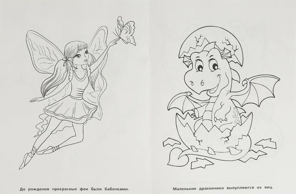 Feen und Drachen. Malbuch Cartoon