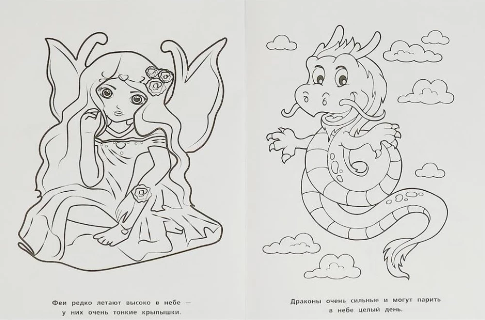 Feen und Drachen. Malbuch Cartoon