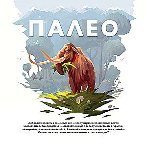 Stalo žaidimas - Paleo