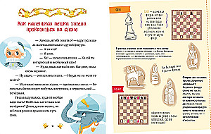 Moja pierwsza książka o szachach w baśniach