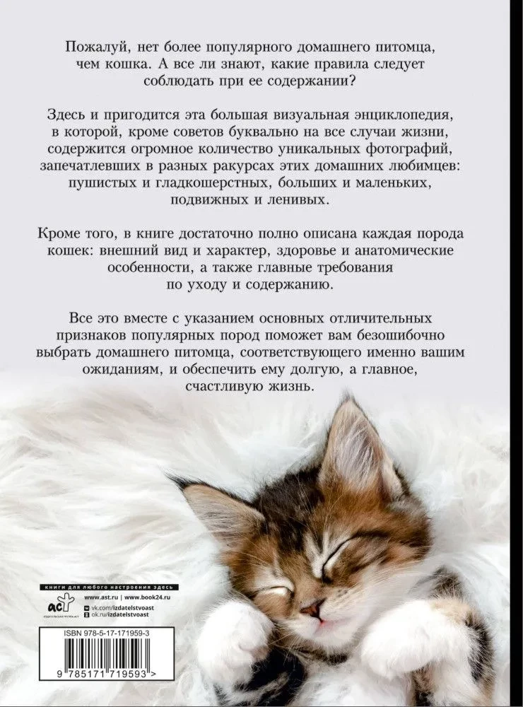 Cats. A Large Visual Encyclopedia
