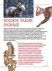 Cats. A Large Visual Encyclopedia