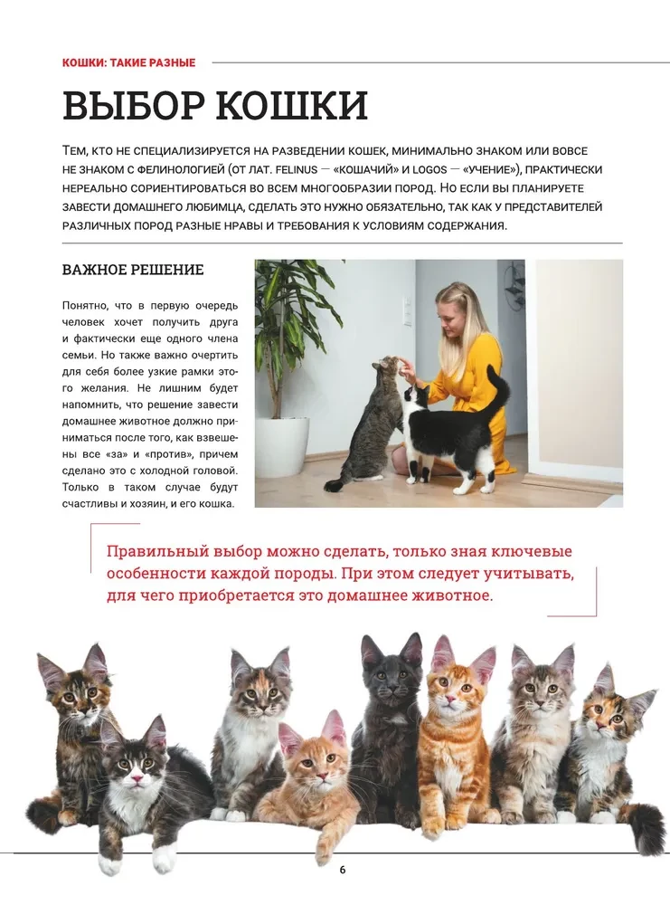 Cats. A Large Visual Encyclopedia