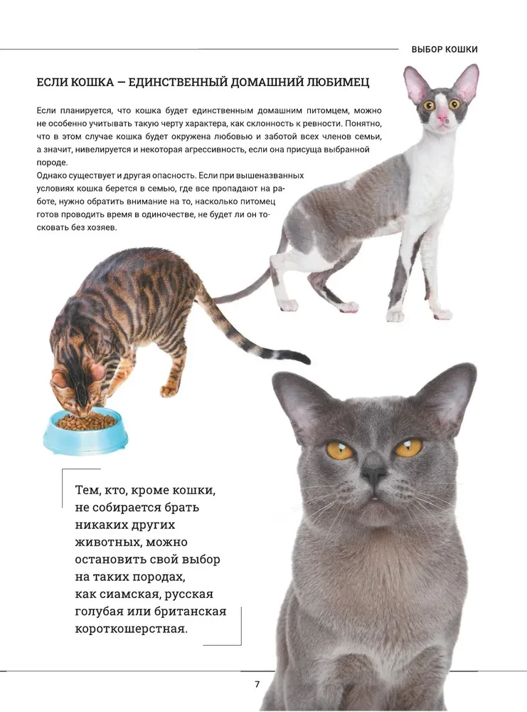 Cats. A Large Visual Encyclopedia