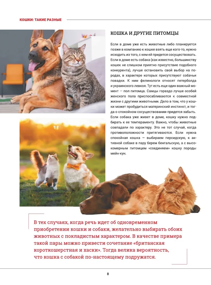 Cats. A Large Visual Encyclopedia