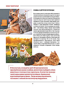 Cats. A Large Visual Encyclopedia