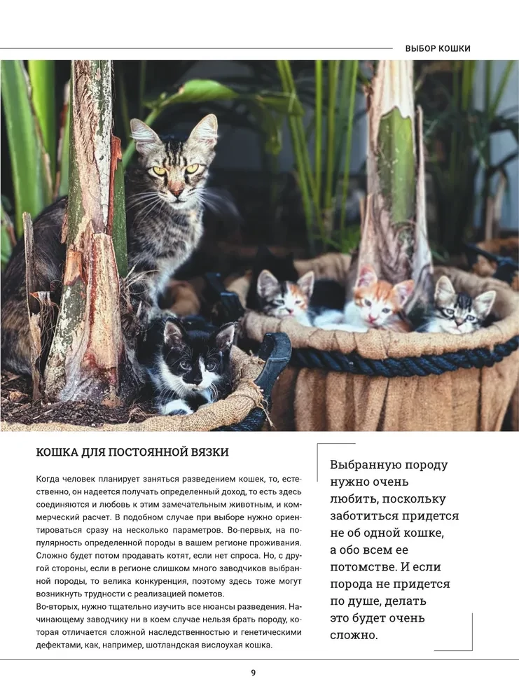 Cats. A Large Visual Encyclopedia