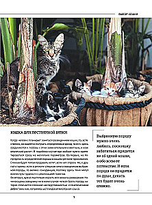Cats. A Large Visual Encyclopedia