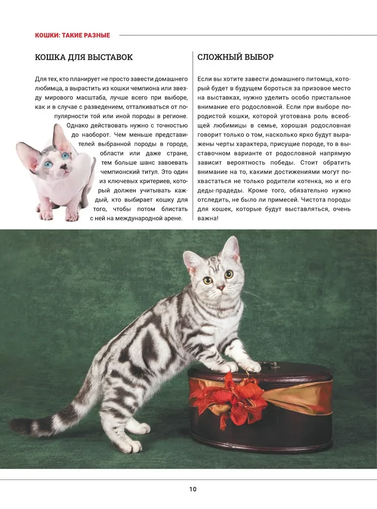 Cats. A Large Visual Encyclopedia