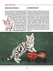 Cats. A Large Visual Encyclopedia