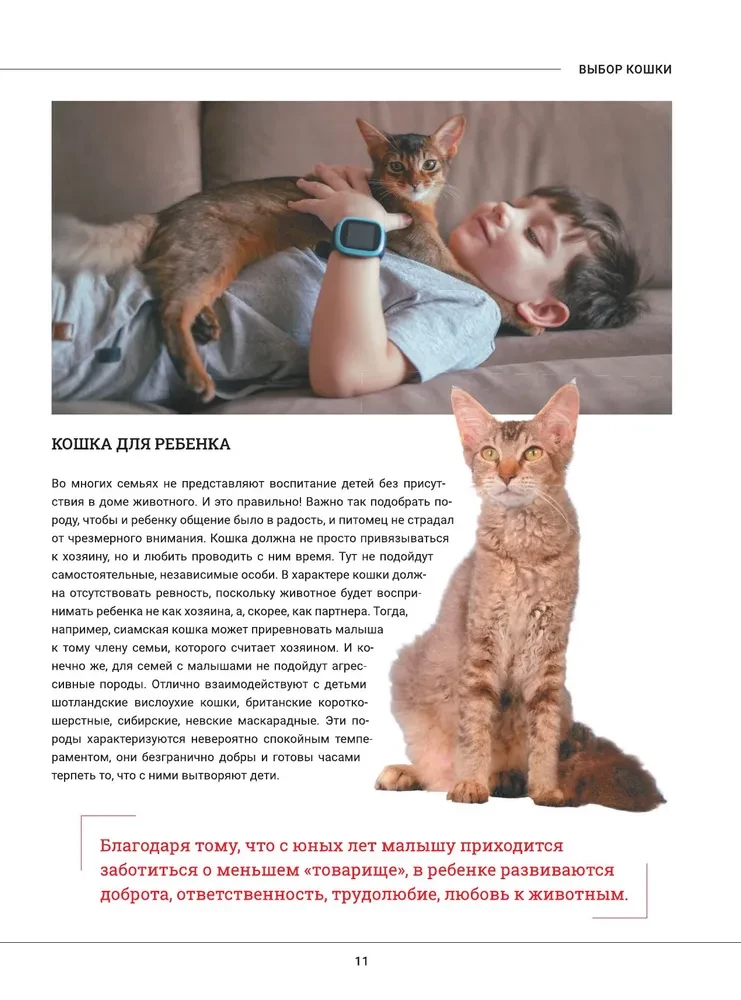 Cats. A Large Visual Encyclopedia
