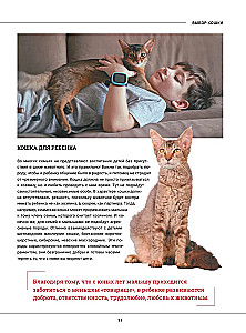 Cats. A Large Visual Encyclopedia
