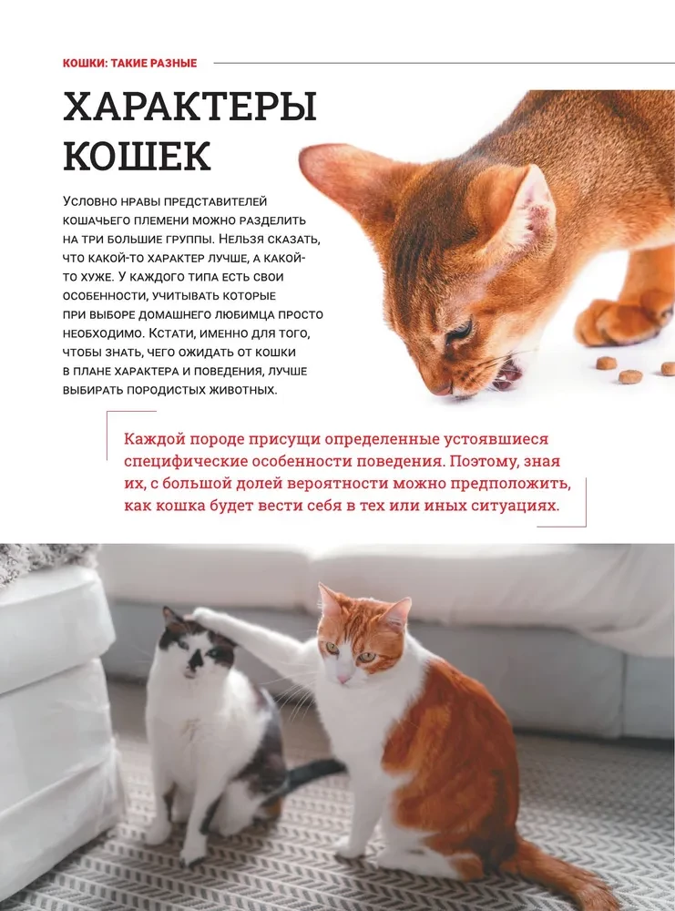 Cats. A Large Visual Encyclopedia