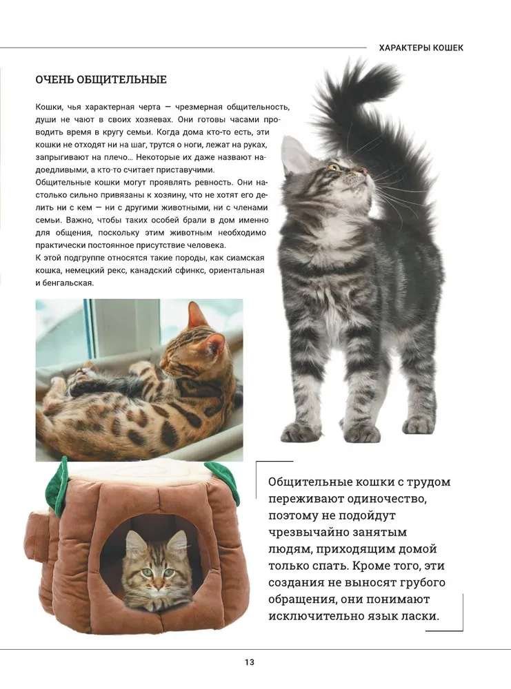 Cats. A Large Visual Encyclopedia
