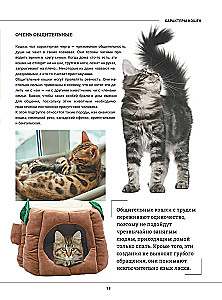 Cats. A Large Visual Encyclopedia