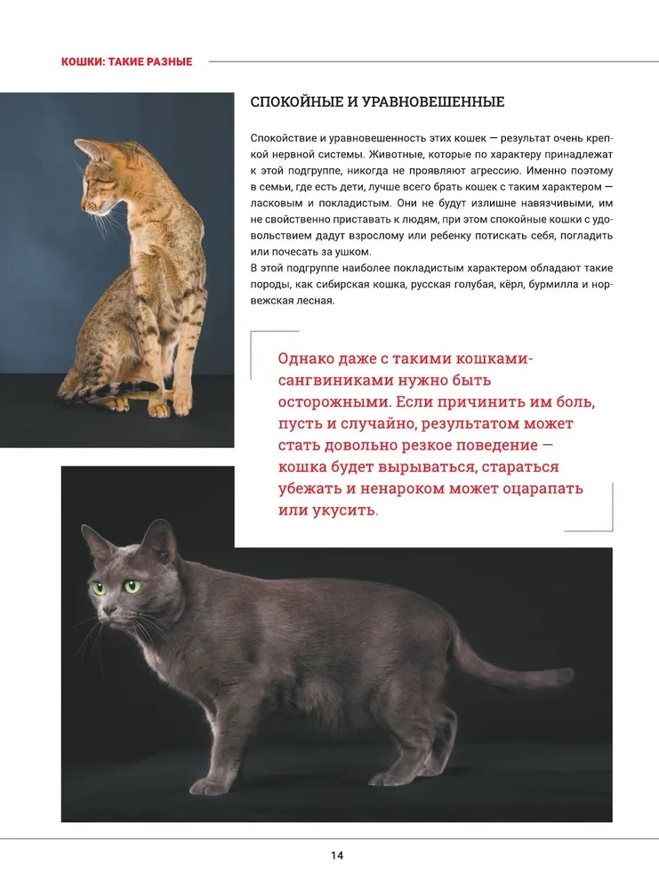 Cats. A Large Visual Encyclopedia