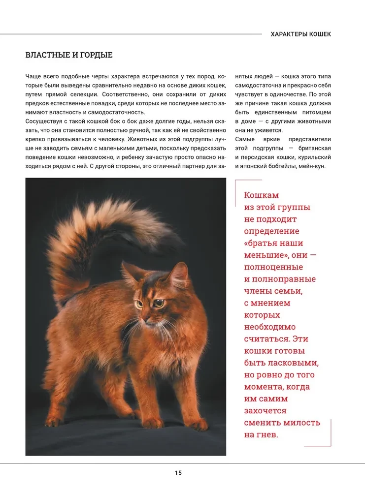 Cats. A Large Visual Encyclopedia