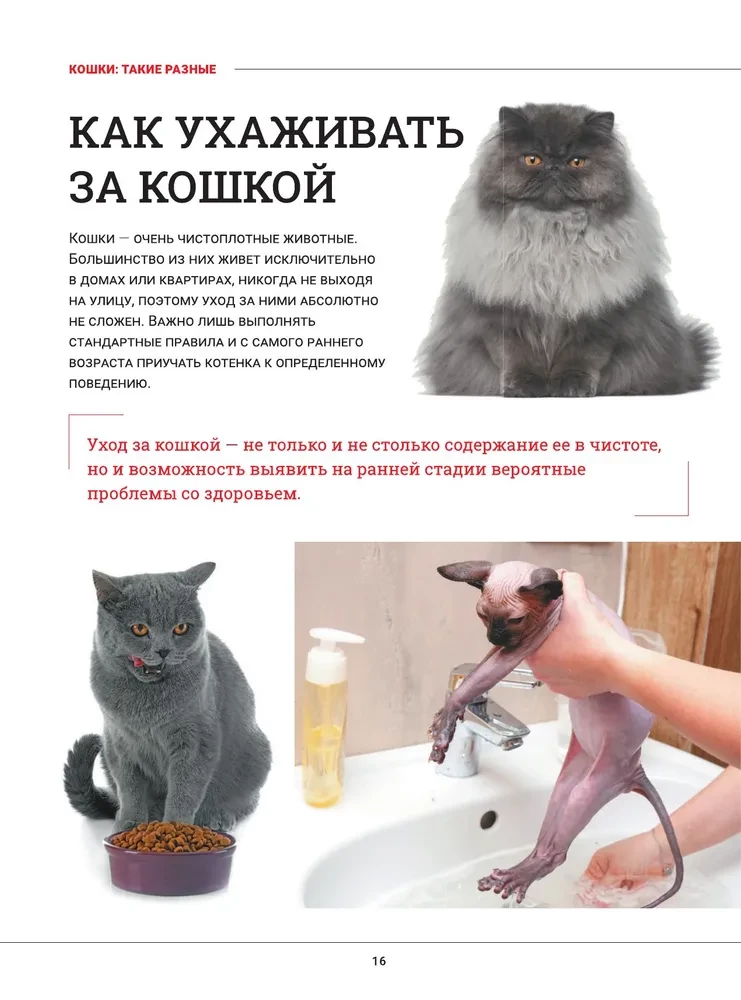 Cats. A Large Visual Encyclopedia