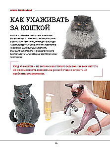 Cats. A Large Visual Encyclopedia