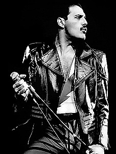 Painting by numbers - Freddie Mercury