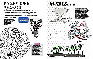 Niezwykłe żywioły: trzęsienia ziemi, tornada, tsunami i inne katastrofy naturalne