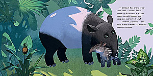 Tapir is looking for friends