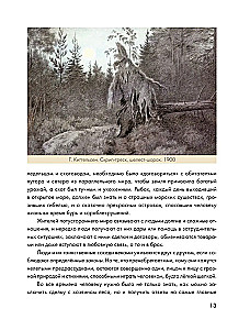 Trolių šalyje. Kas yra kas Norvegijos folklore