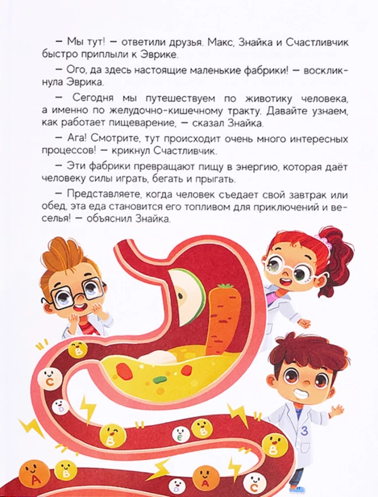 Jak zbudowany jest człowiek?