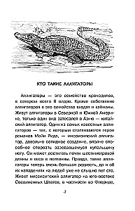 Tajemnice przyrody