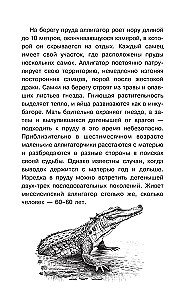 Tajemnice przyrody