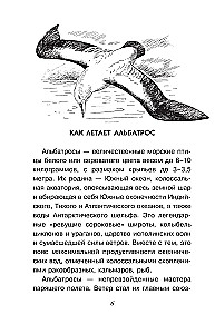 Tajemnice przyrody