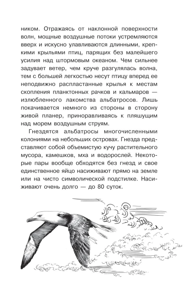 Tajemnice przyrody